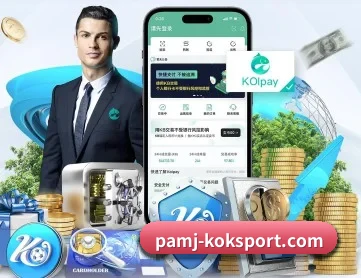 KOK体育 APP 深度功能